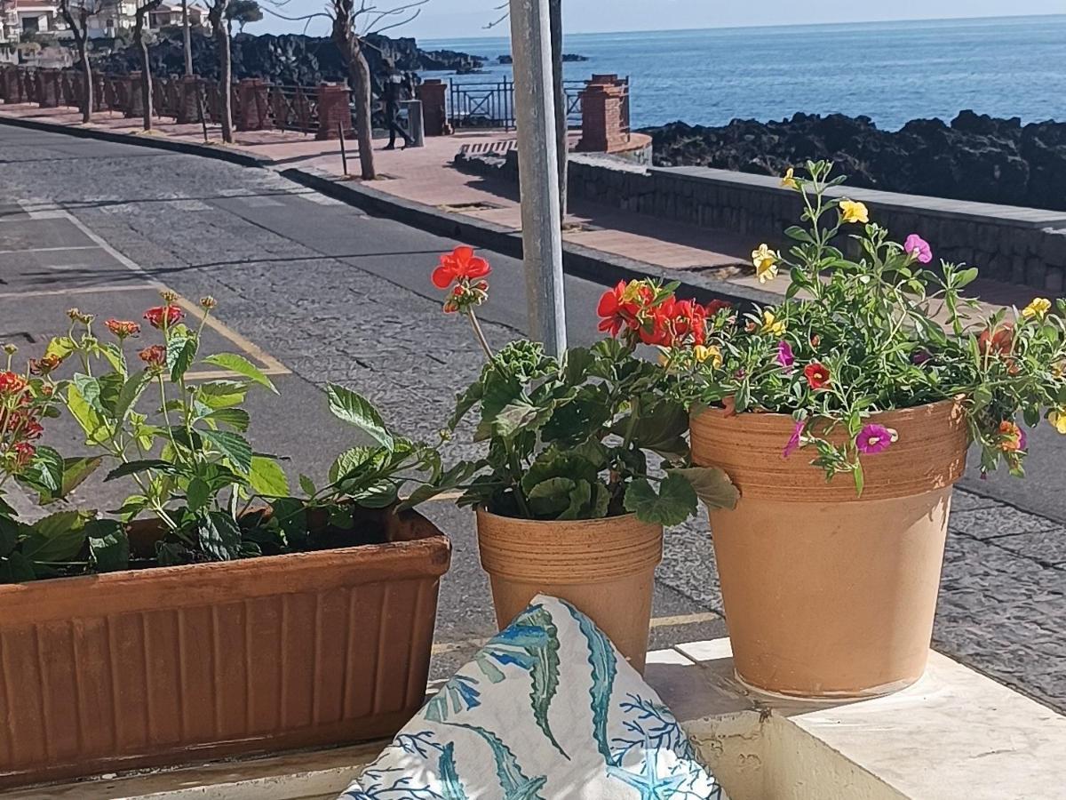 Nice Sicily Little Family Home Acireale Extérieur photo